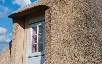Lettaford thatch roof disadvantages